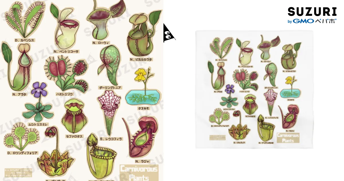【洋書_図鑑】オーストラリアの食虫植物 洋書_図鑑】オーストラリアの食虫植物 洋書_図鑑