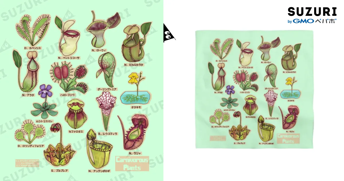 【洋書_図鑑】オーストラリアの食虫植物 洋書_図鑑】オーストラリアの食虫植物 一部予約！】 洋書_図鑑