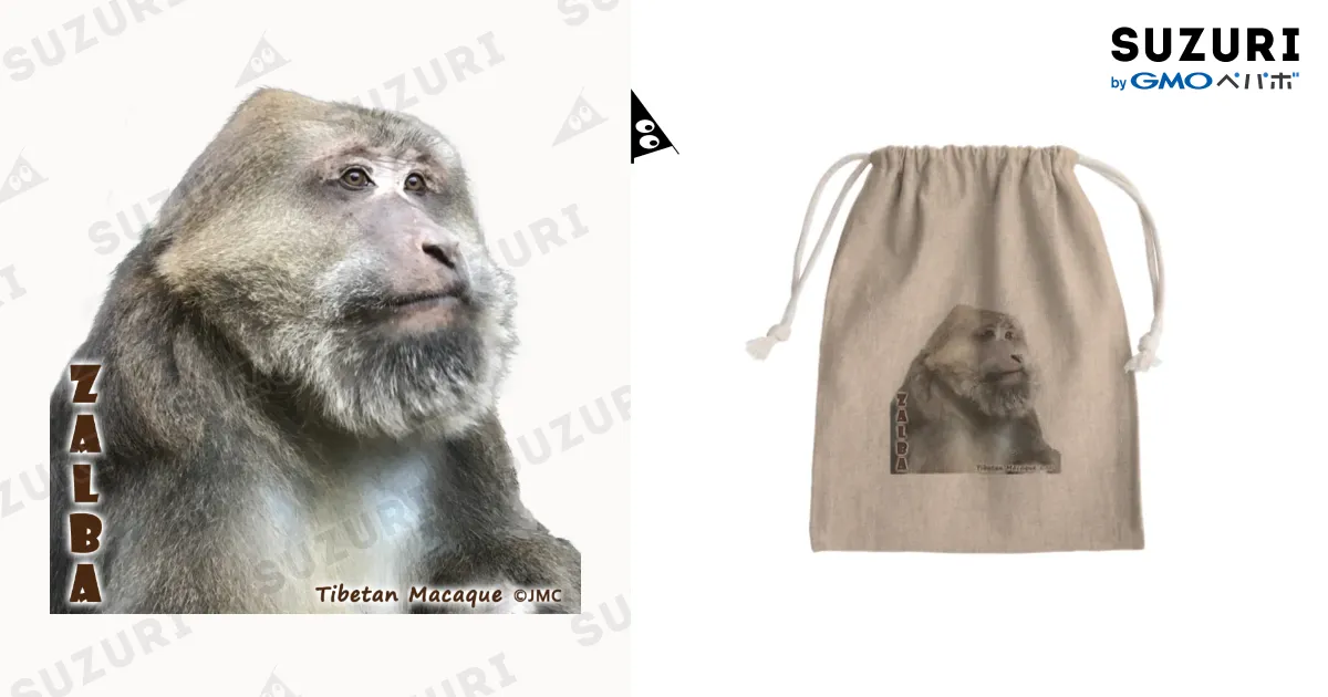 猿 Awaji Island Monkey Center身体障害お猿さん 12 2020f - YouTube