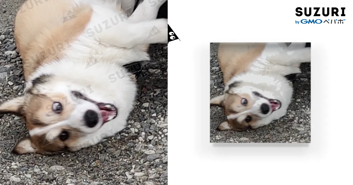 変顔なコーギー犬ロック / コーギーショップ ( corgi_lock )の
