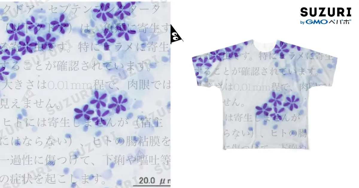 クドアセプテンプンクタータ All-Over Print T-Shirt by