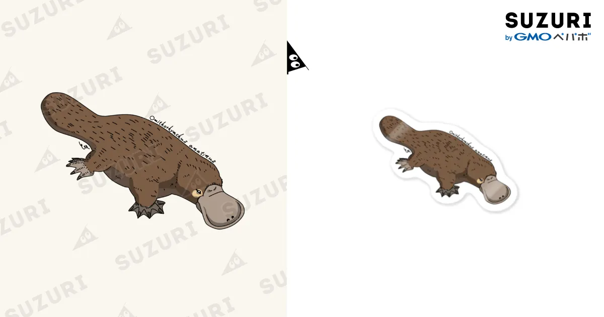 37444885.webp?t=1674472993