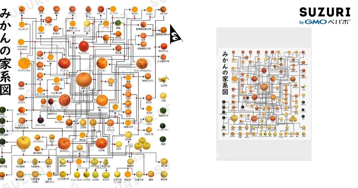 みかんの家系図 / みかんノート ( mikan_flavor )のクリアファイル通販