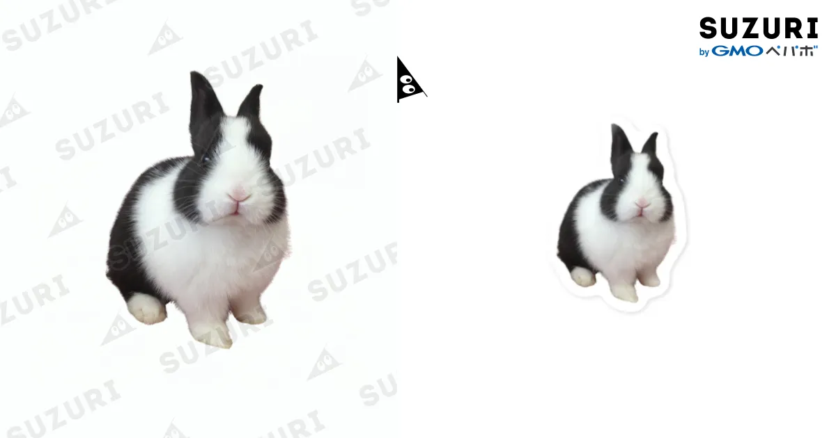 ポコちゃん#うさぎ#子うさぎ#ハチワレ#ダッチ / ももか