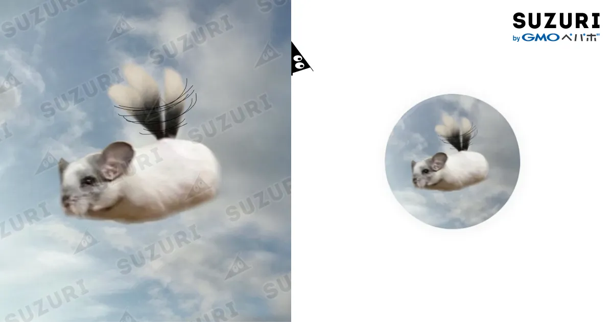 4975493.webp?t=1569091315